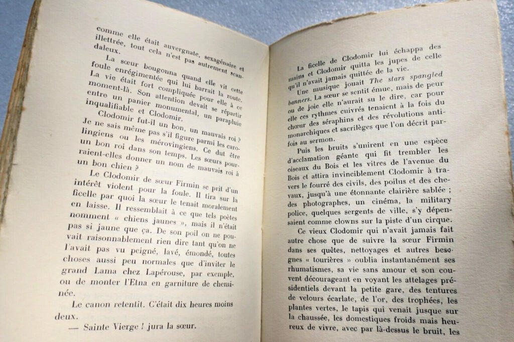 Cinéma Delluc. La Jungle du Cinéma