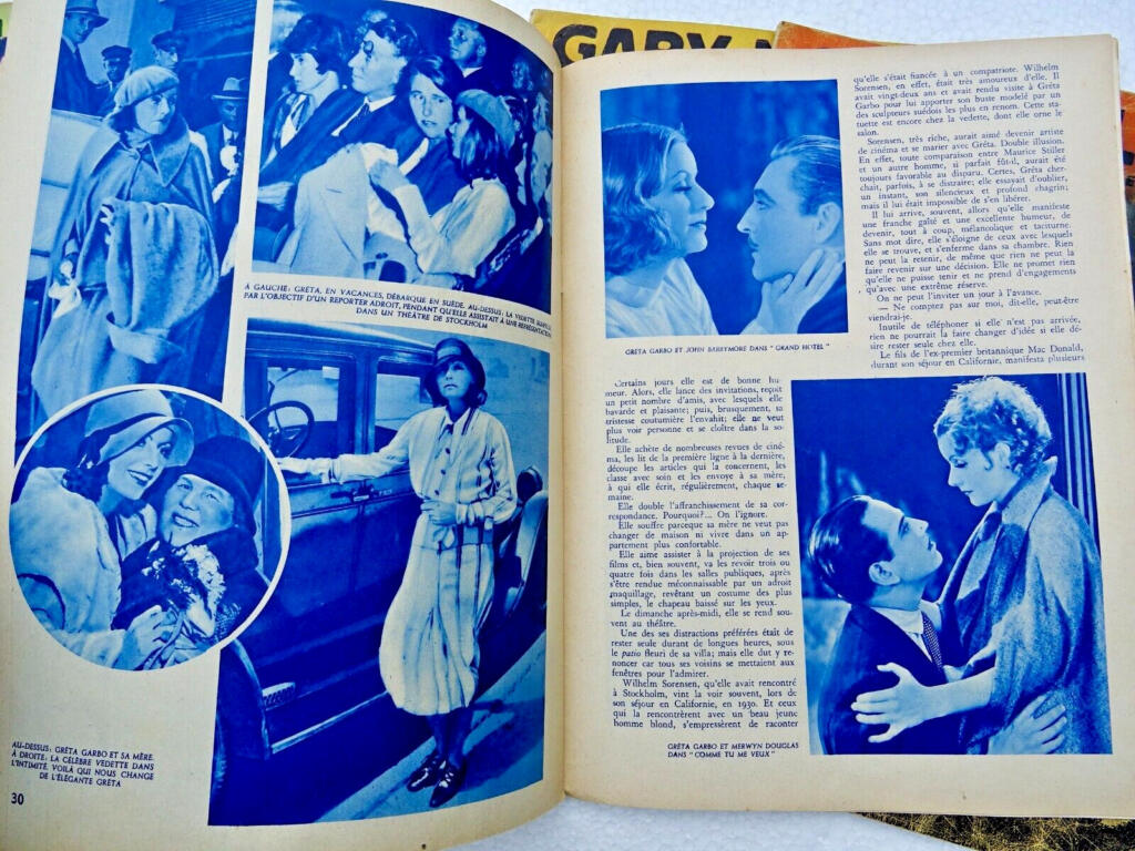 Essays on iconic cinema figures