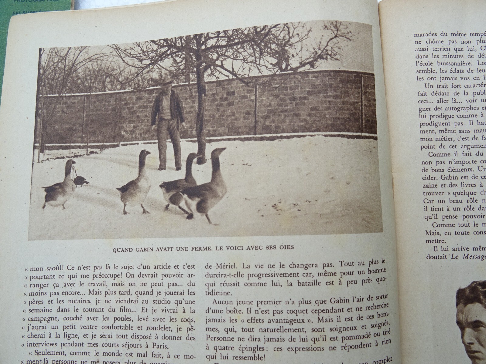 电影1936-1939:明星、影片与故事 - Image 22