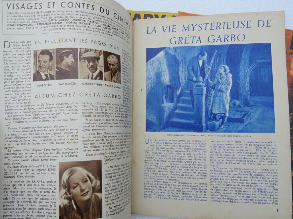 Essays on iconic cinema figures