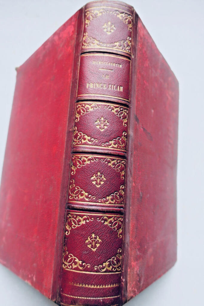 Parisian novel of intrigue and society