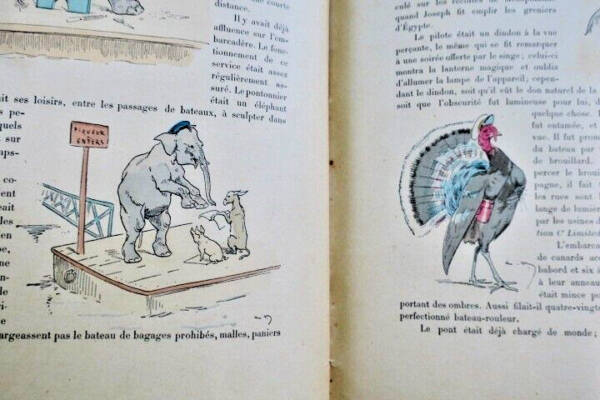 The Capitol Goose: A Classical Tale
