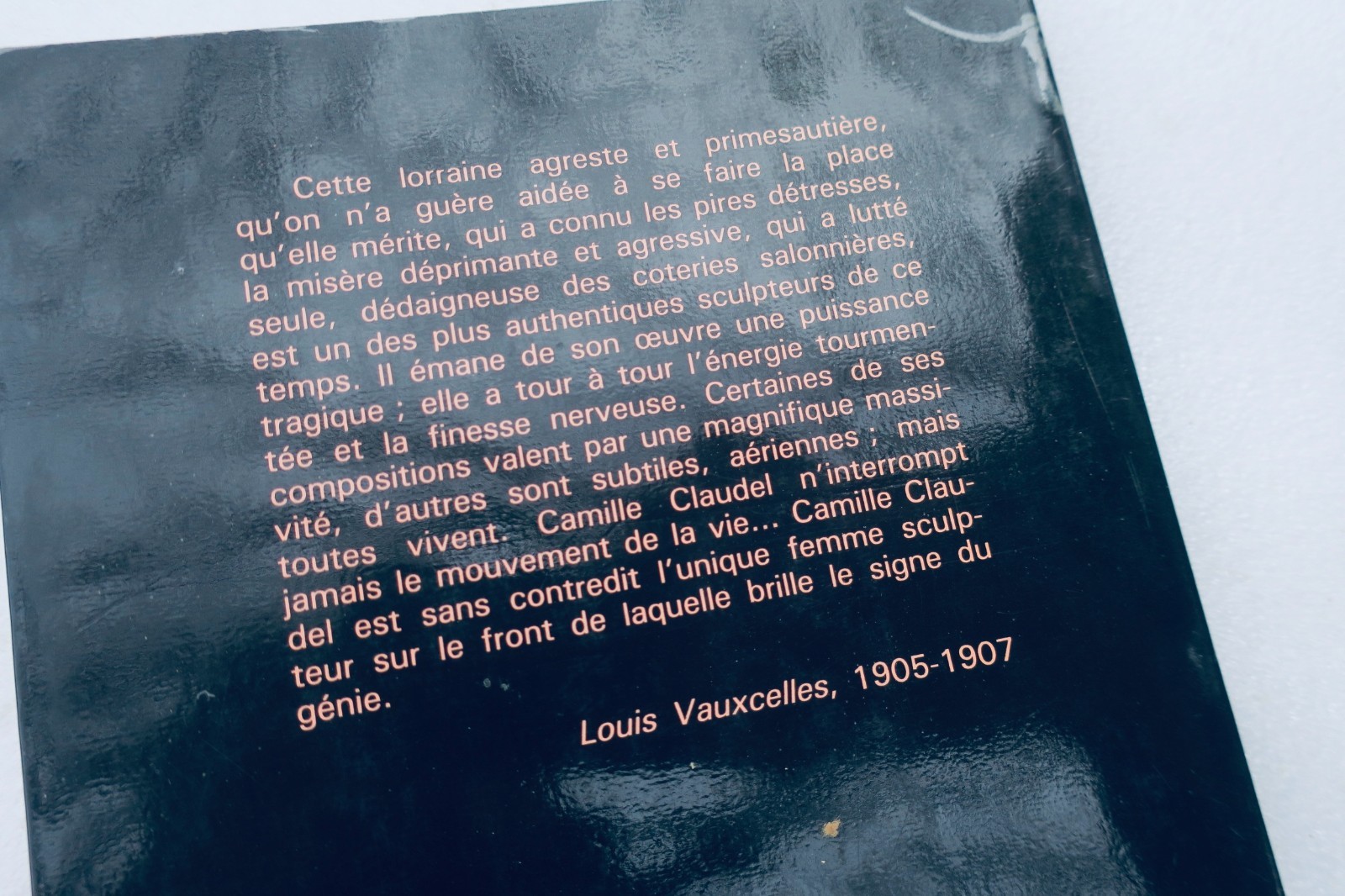 Die Verbotene: Das Leben Camille Claudels - Image 5