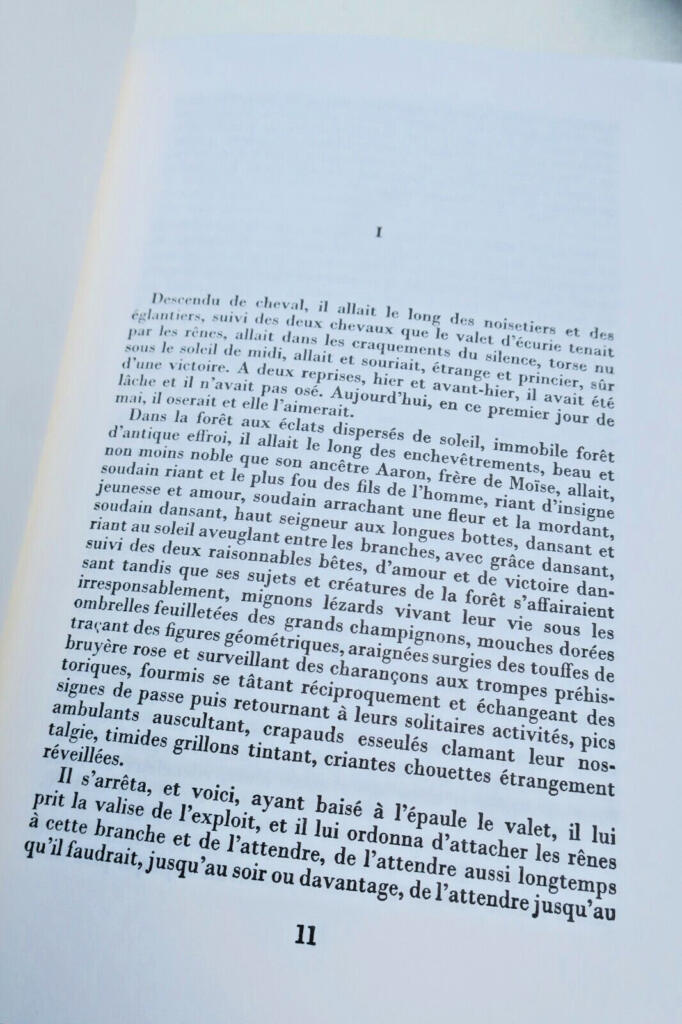 Eine fesselnde Erzählung von Liebe und Sehnsucht