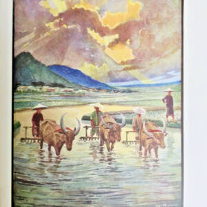 colonies Histoire des Colonies françaises et de l'expansion de la France 5/6