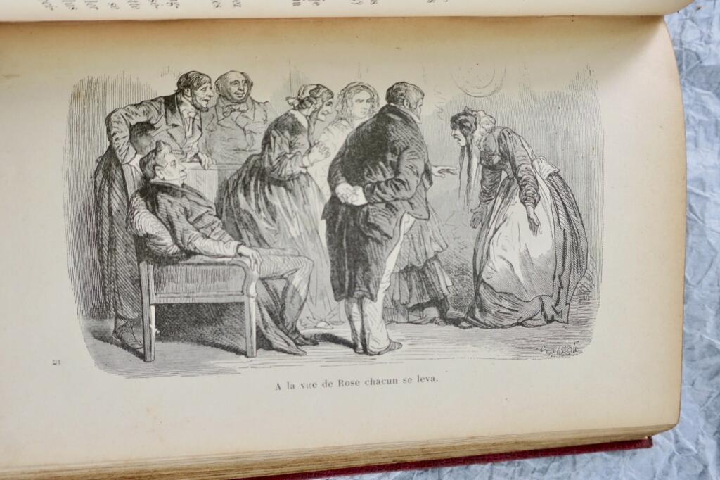 Gribouilles Schwester - Illustrierte Rosenbibliothek