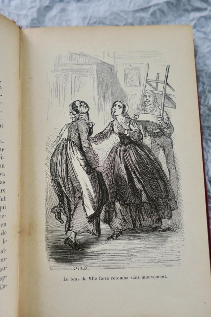Gribouilles Schwester - Illustrierte Rosenbibliothek