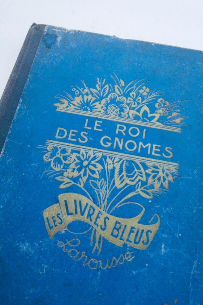 contes bleus Le Roi des Gnomes : La nymphe de la source et autres contes