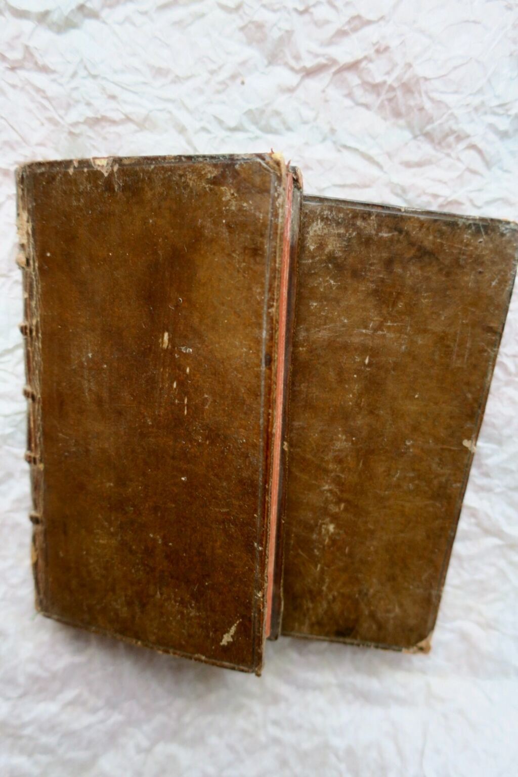 Moral Reflections on Lent Readings