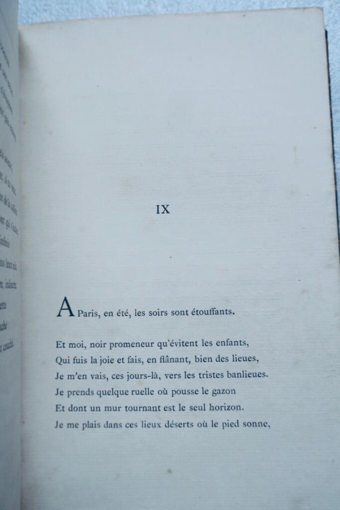 Frühe Dichtung und intime Verse