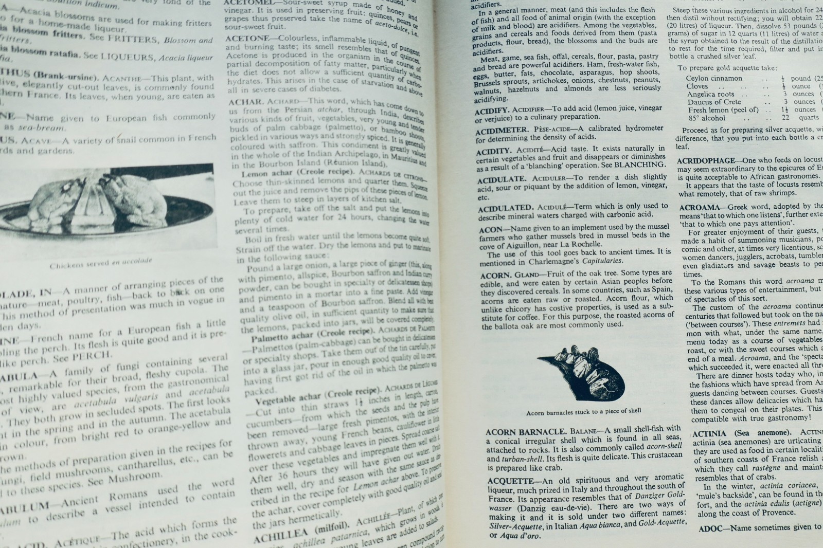 1973年版烹饪百科全书 – Image 14