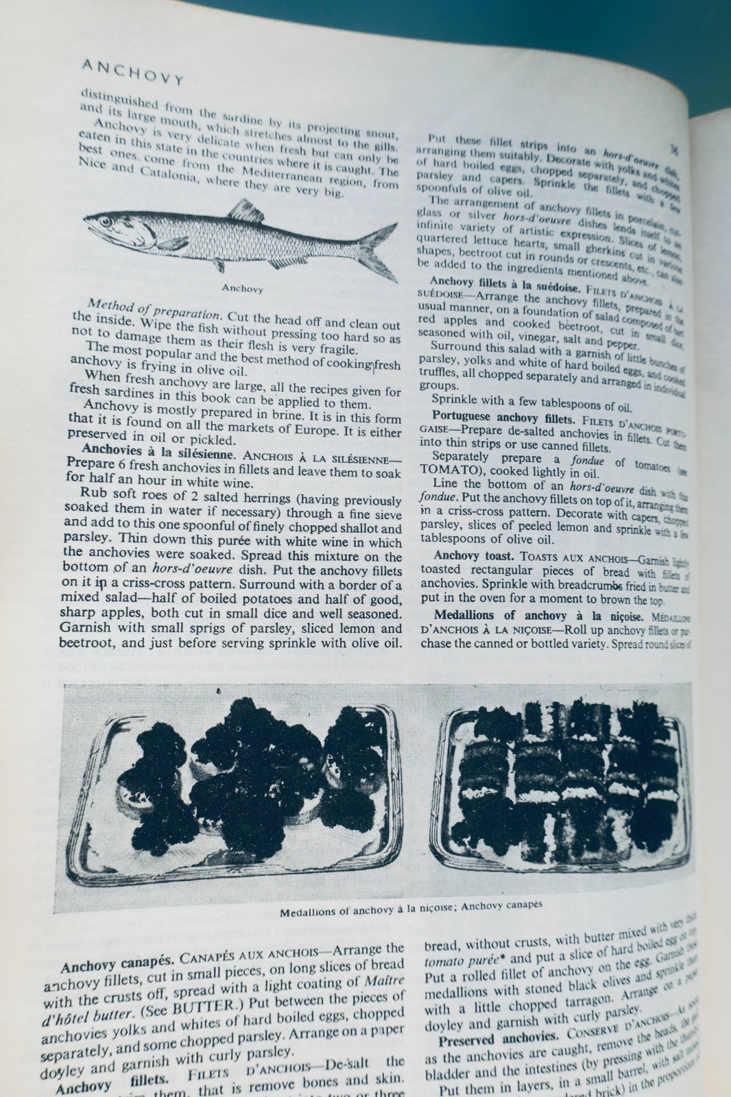1973年版烹饪百科全书 – Image 15