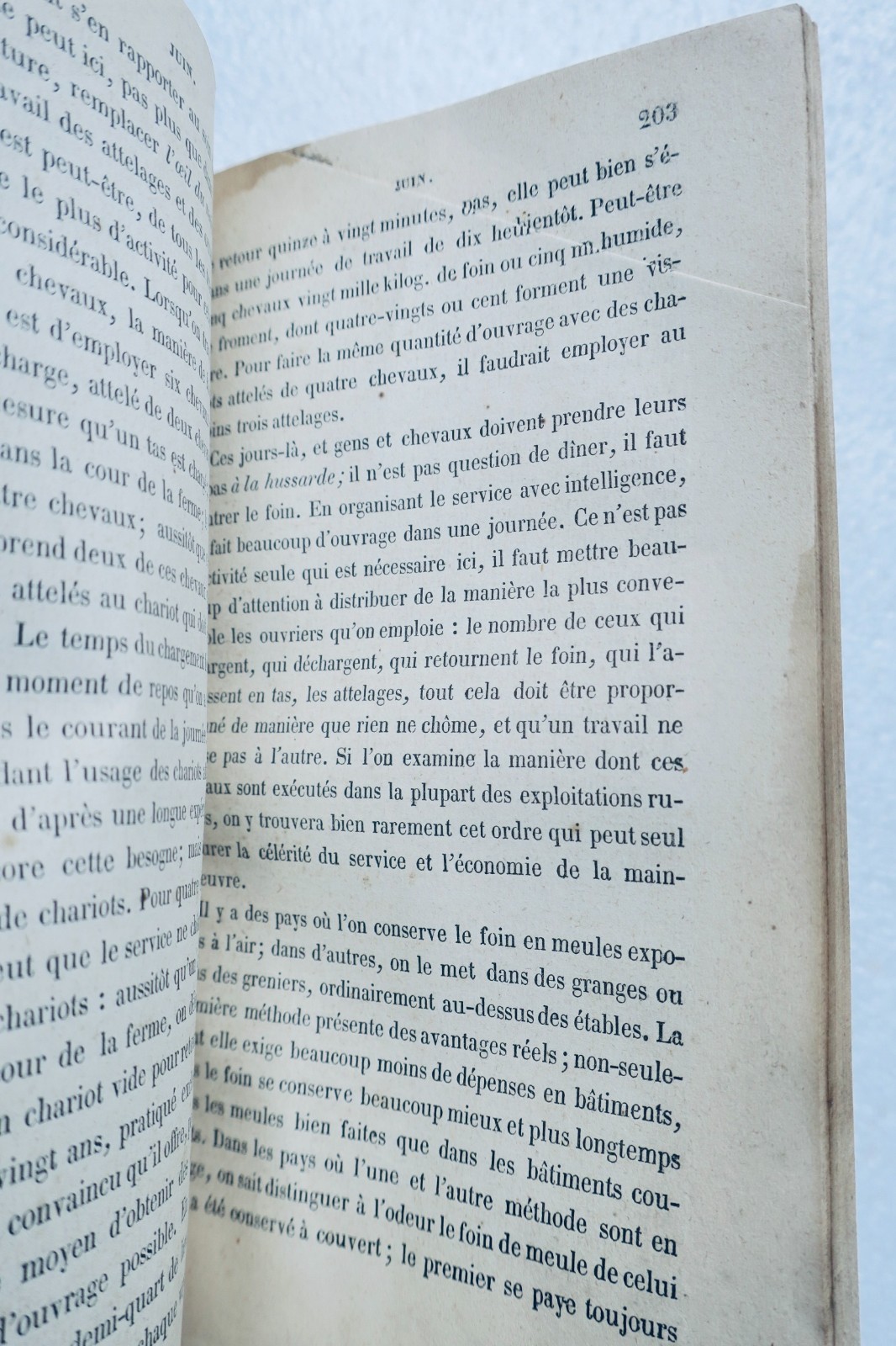 culture Calendrier du bon cultivateur ou manuel de l'agriculteur 1860 – Image 5
