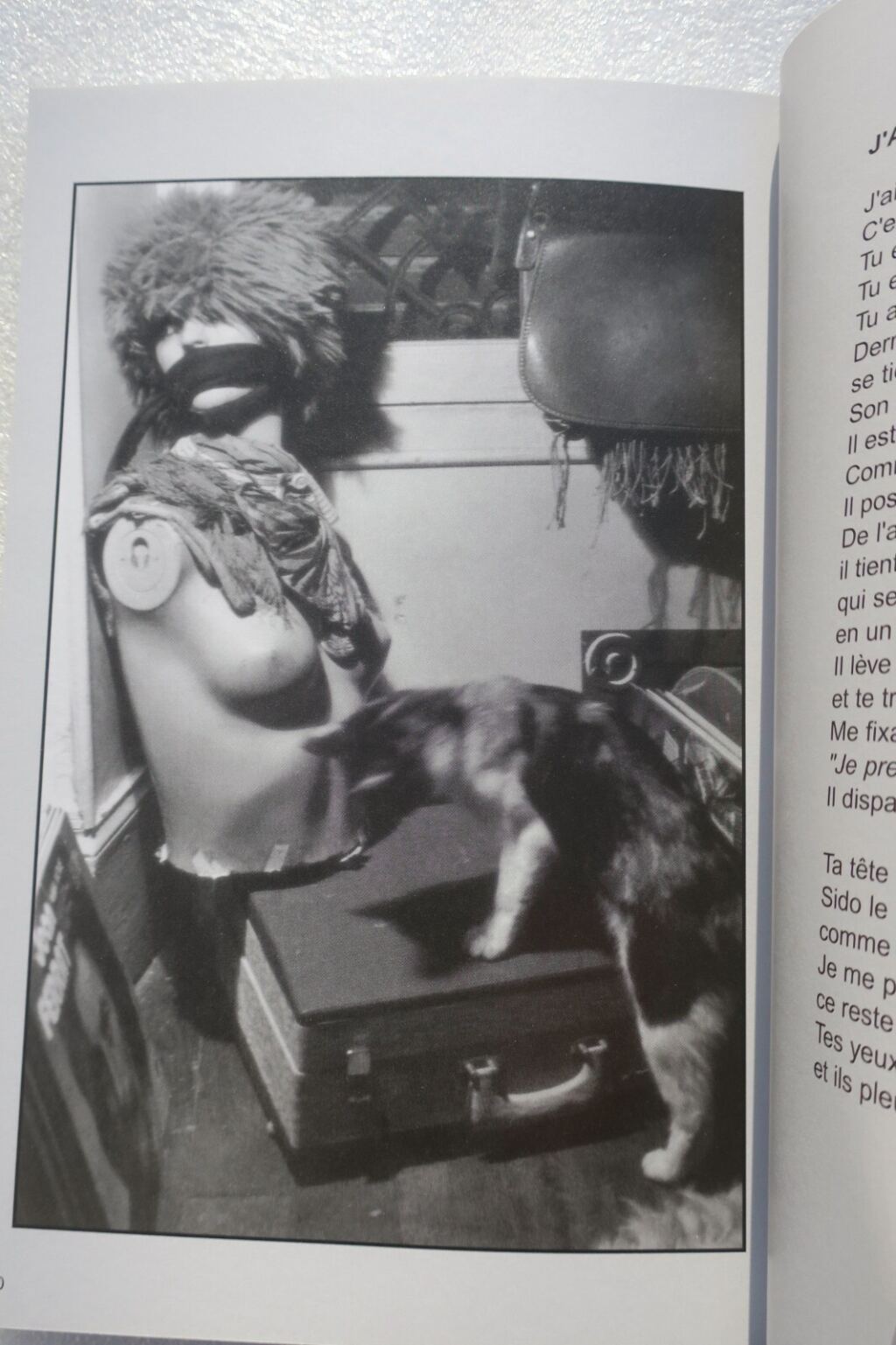 curiosa Délain Marie-Madeleine Roman photo