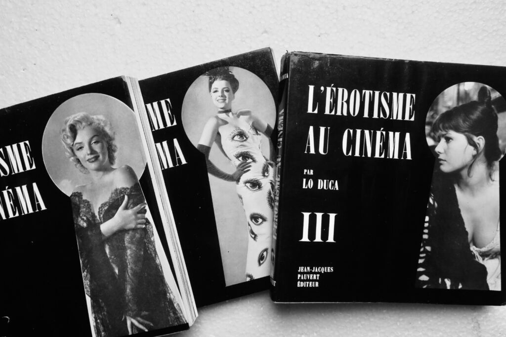 Die Erforschung der Erotik im Kino