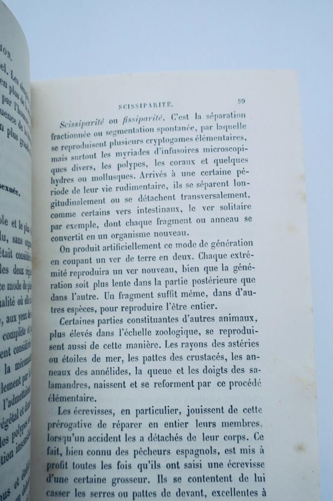 Curiosa La Génération universelle Lois, secrets et mystères, le mariage 1887