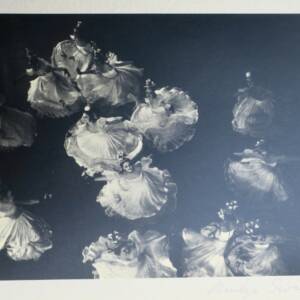 Dance BALLET IN ACTION 1938