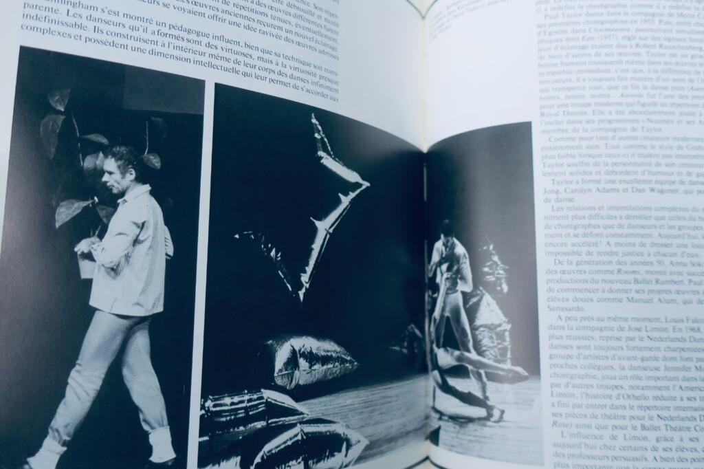 Die Welt des Balletts