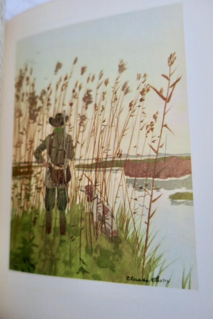 Daudet ; Illustrations de C. Chopy Lettres de mon moulin