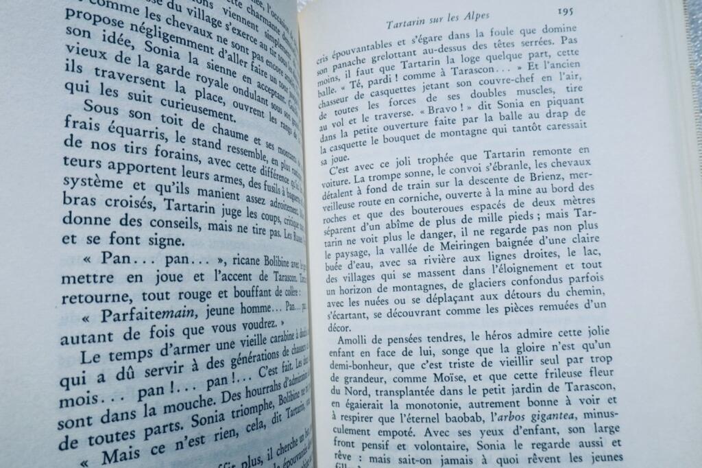 Daudet Tartarin de Tarascon Tartarin sur le Alpes- Port Tarascon