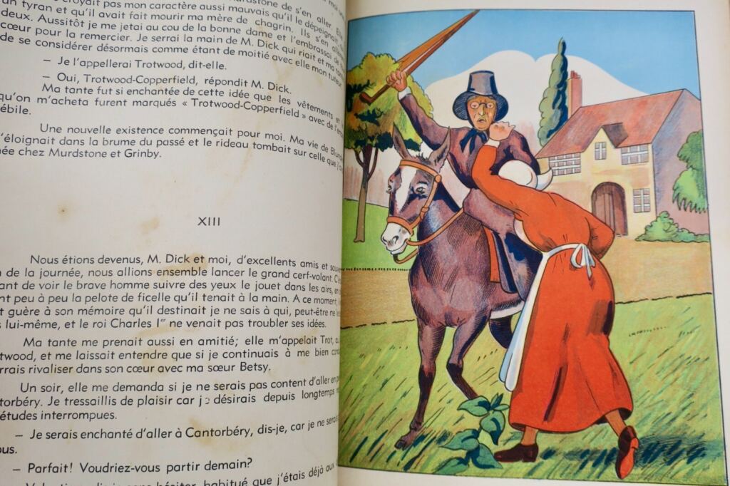 Illustrierter viktorianischer Roman