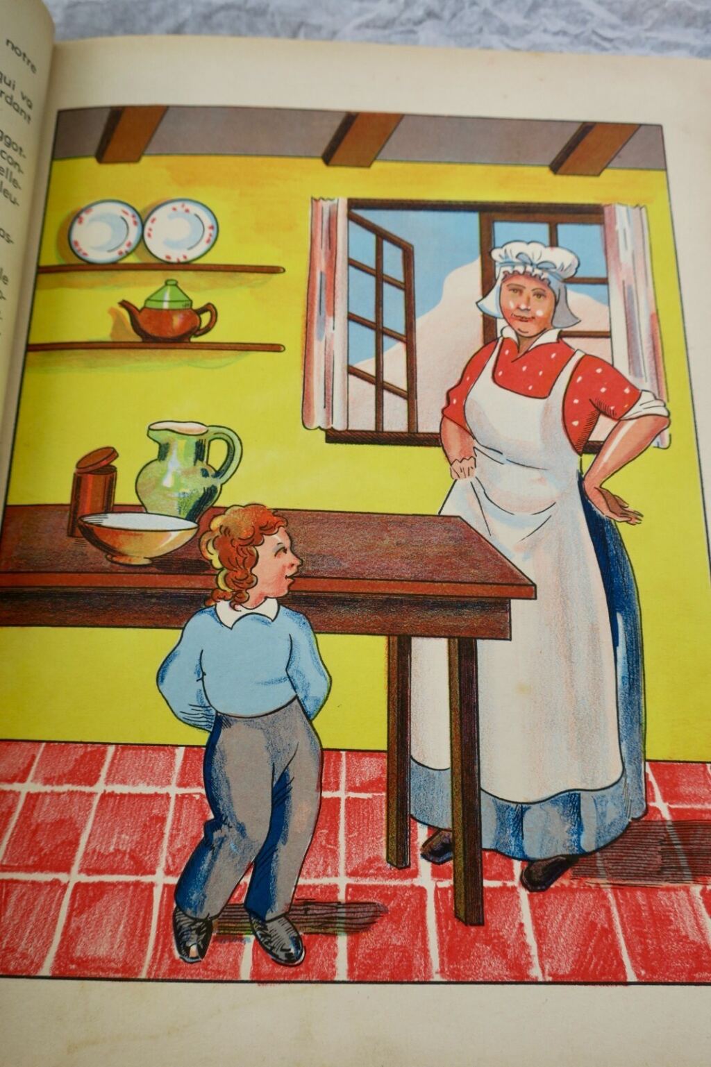 Illustrierter viktorianischer Roman