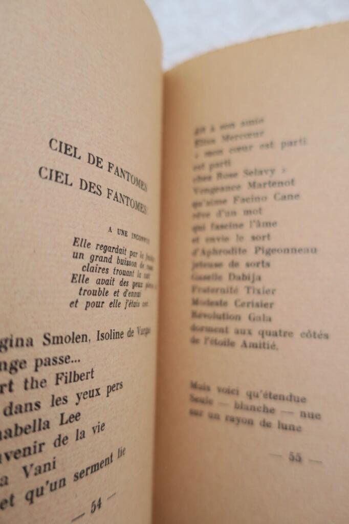 Notebook of a Curious Mind