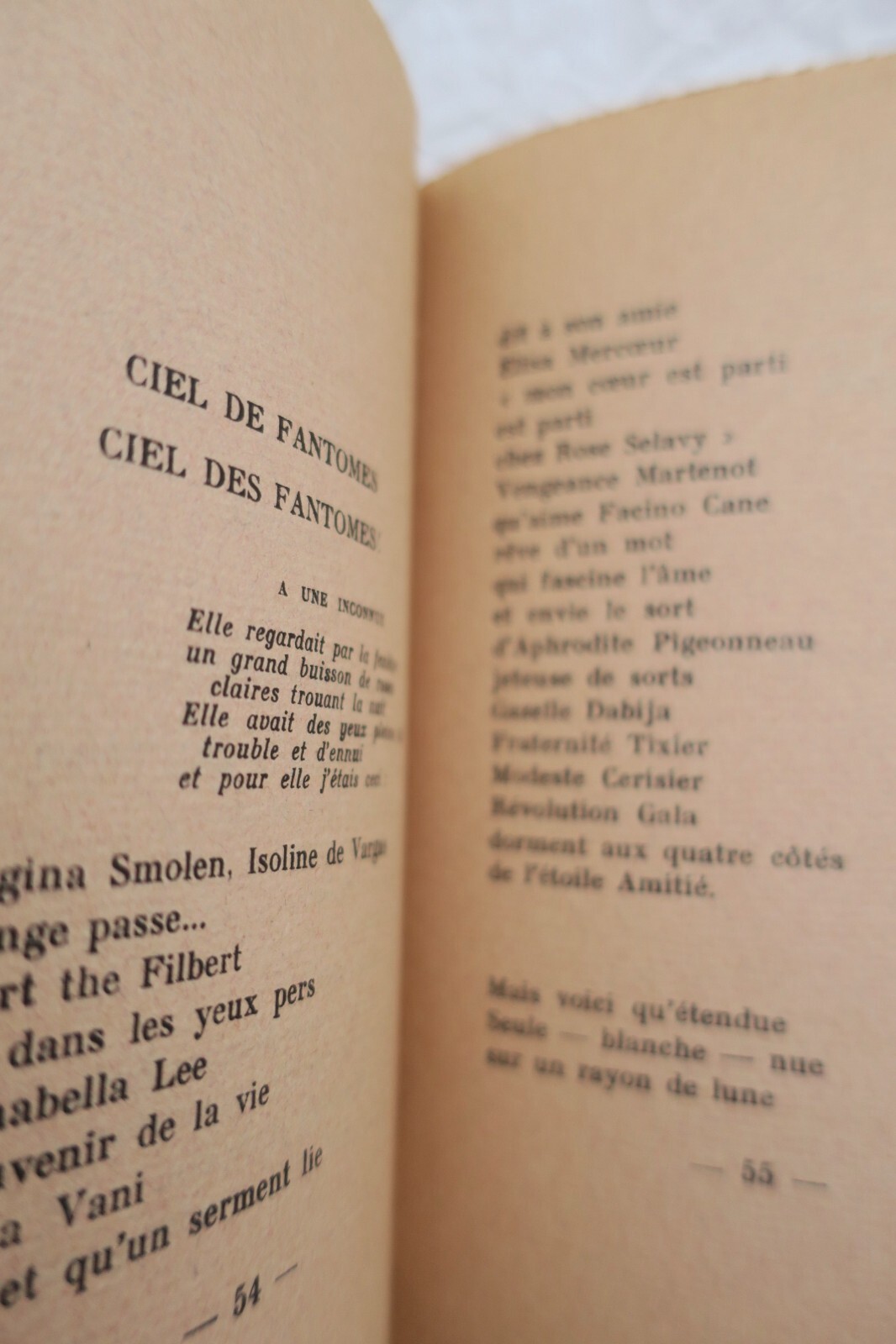 Deharme (Lise). Cahier de curieuse personne + dédicace - Image 3