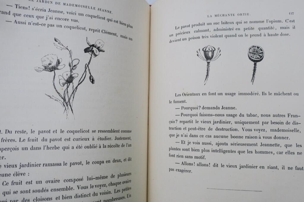 Botanical insights from a charming garden