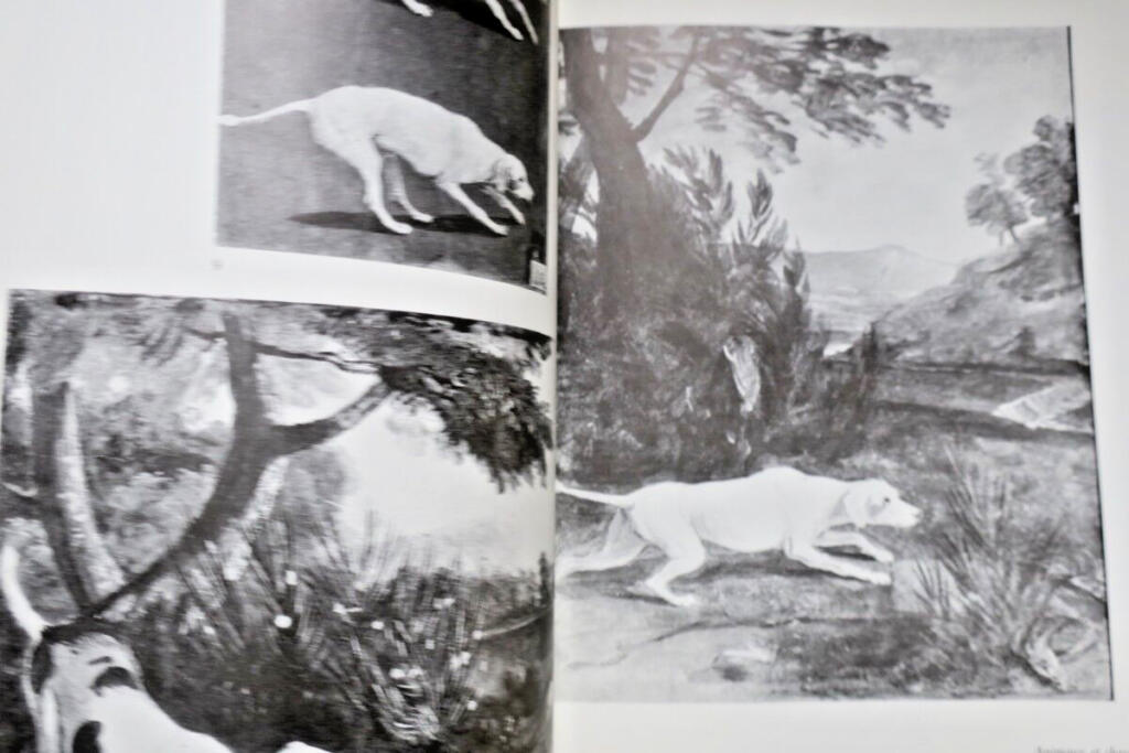 Desportes' Studio: Drawings and Sketches