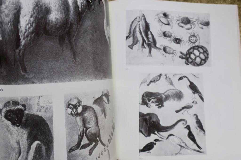 Desportes' Studio: Drawings and Sketches