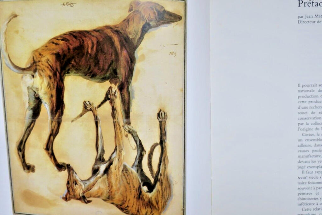 Desportes' Studio: Drawings and Sketches