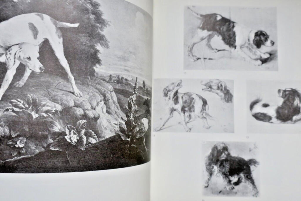 Desportes' Studio: Drawings and Sketches