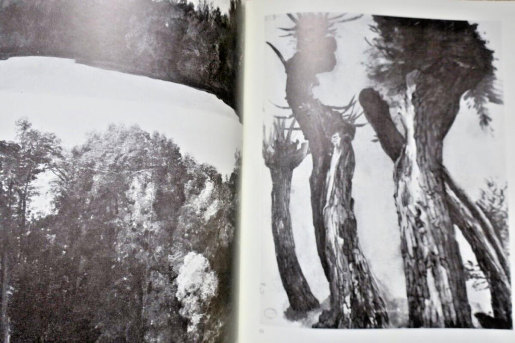 Desportes' Studio: Drawings and Sketches