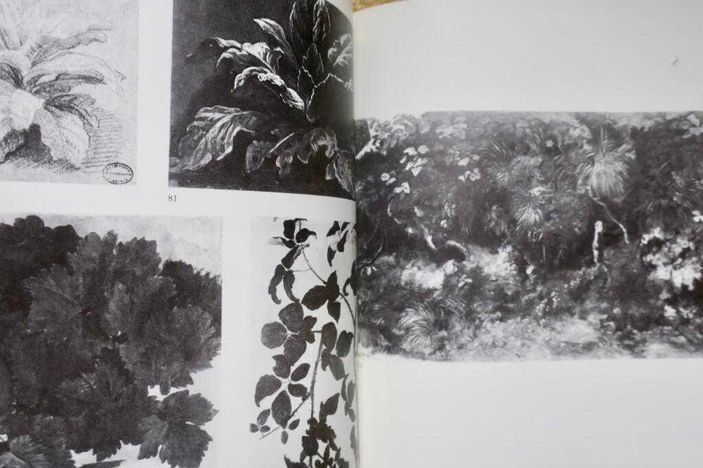 Desportes' Studio: Drawings and Sketches