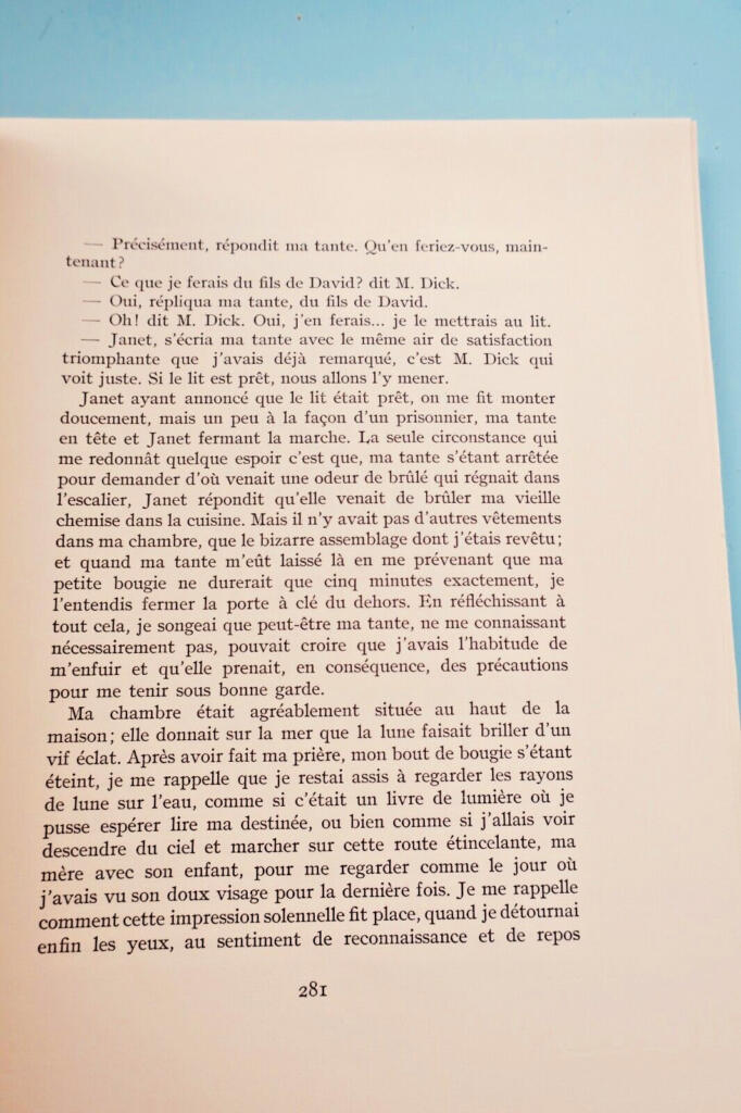 Viktorianischer Roman mit eleganten Illustrationen