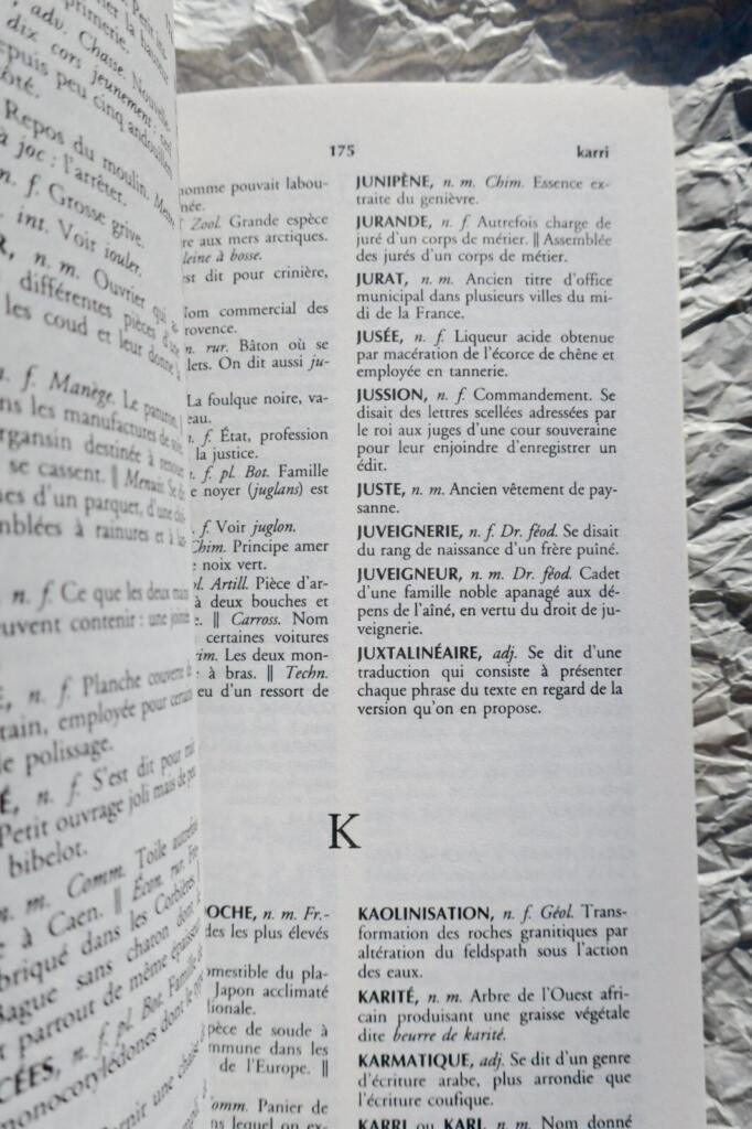 Dictionnaire des mots rares et précieux