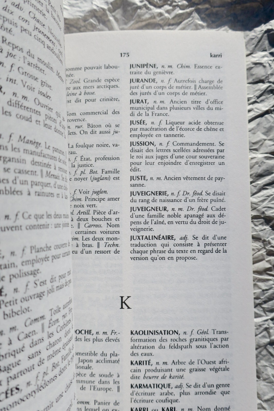 Dictionnaire des mots rares et précieux – Image 3