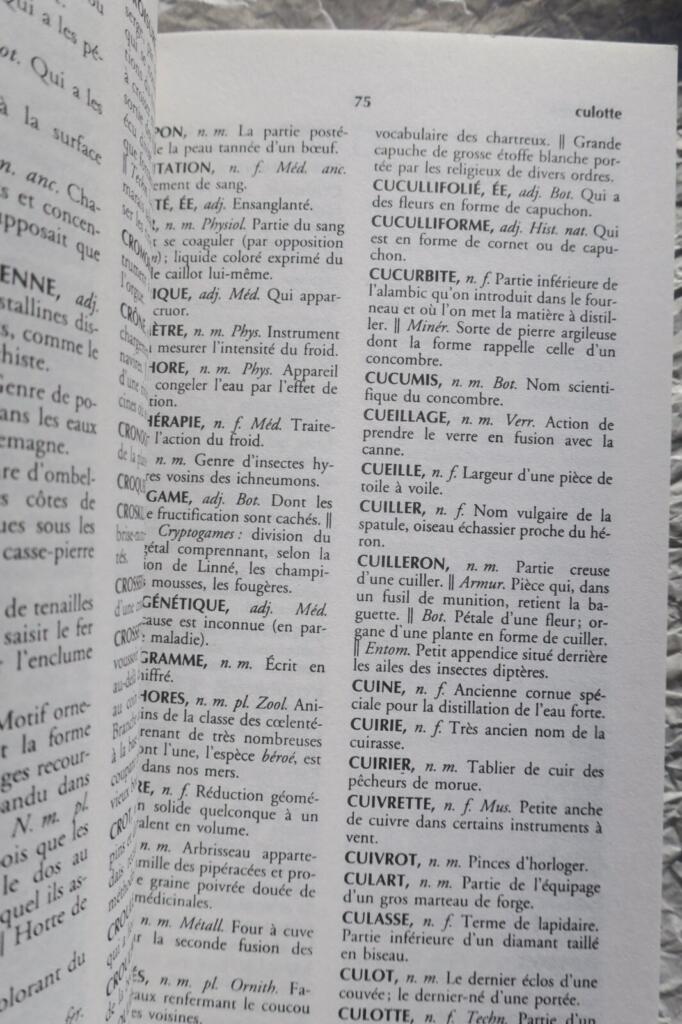 Dictionnaire des mots rares et précieux