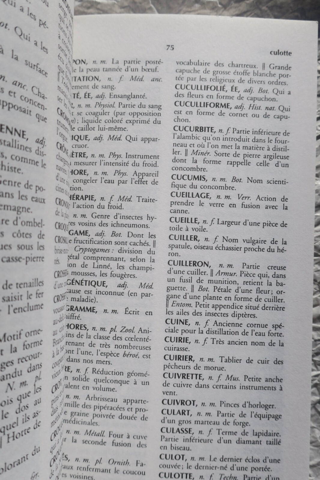 Dictionnaire des mots rares et précieux – Image 4
