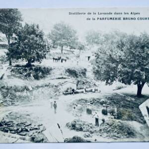 distillerie de la lavande GRASSE parfumerie Bruno Court