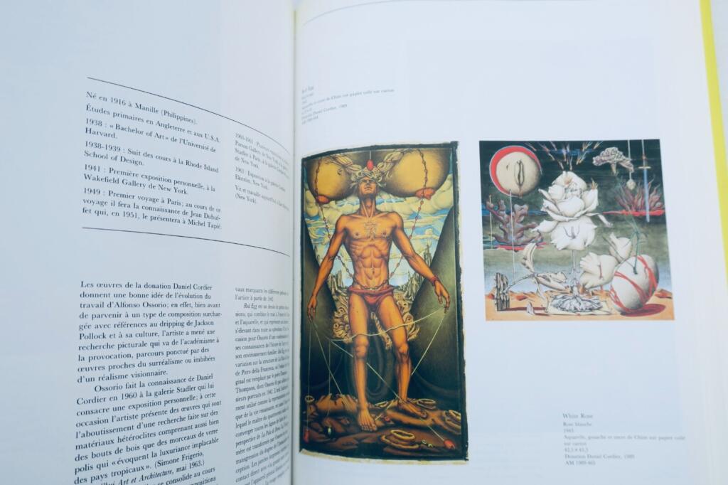 Donations Daniel Cordier Le regard d’un amateur POMPIDOU
