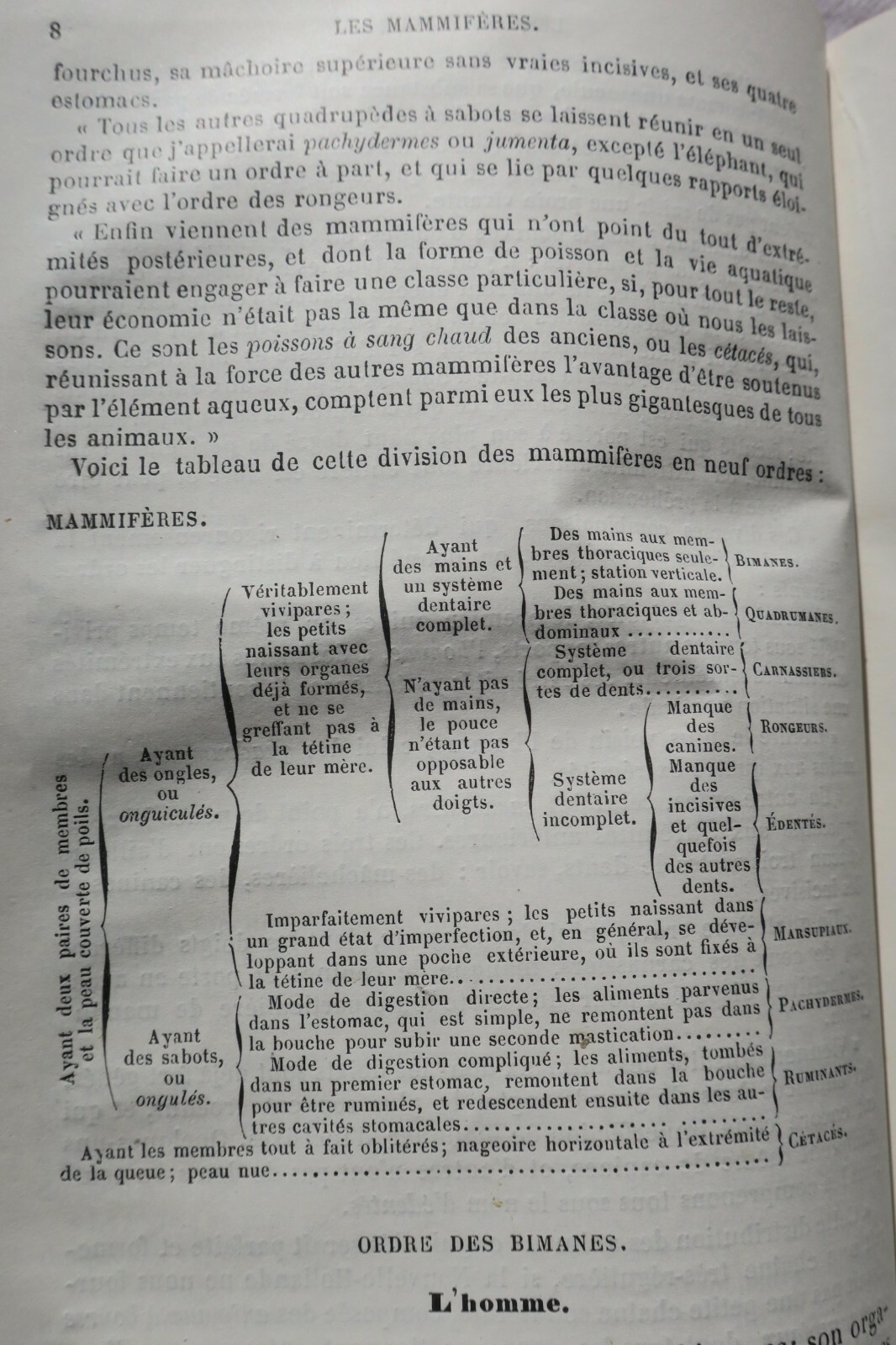 Drogues Histoire naturelle des drogues simples 1876 – Image 7
