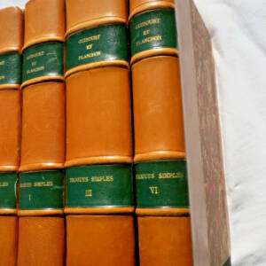 Drogues Histoire naturelle des drogues simples 1876