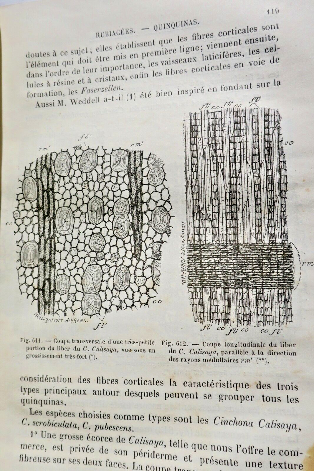 Drogues Histoire naturelle des drogues simples 1876 – Image 5