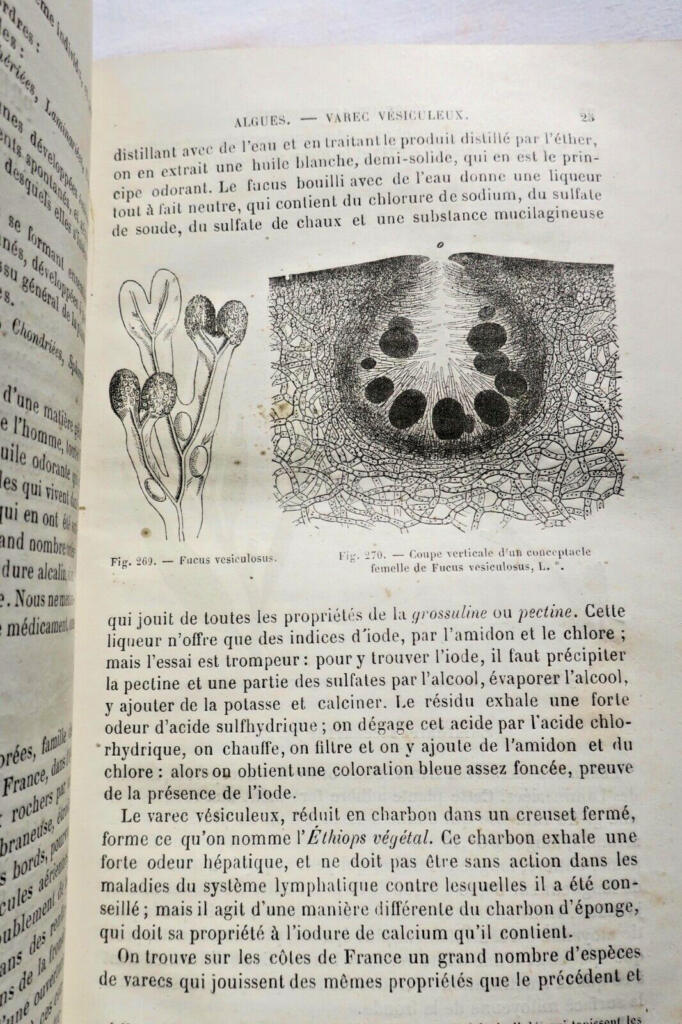 简单药物的自然历史