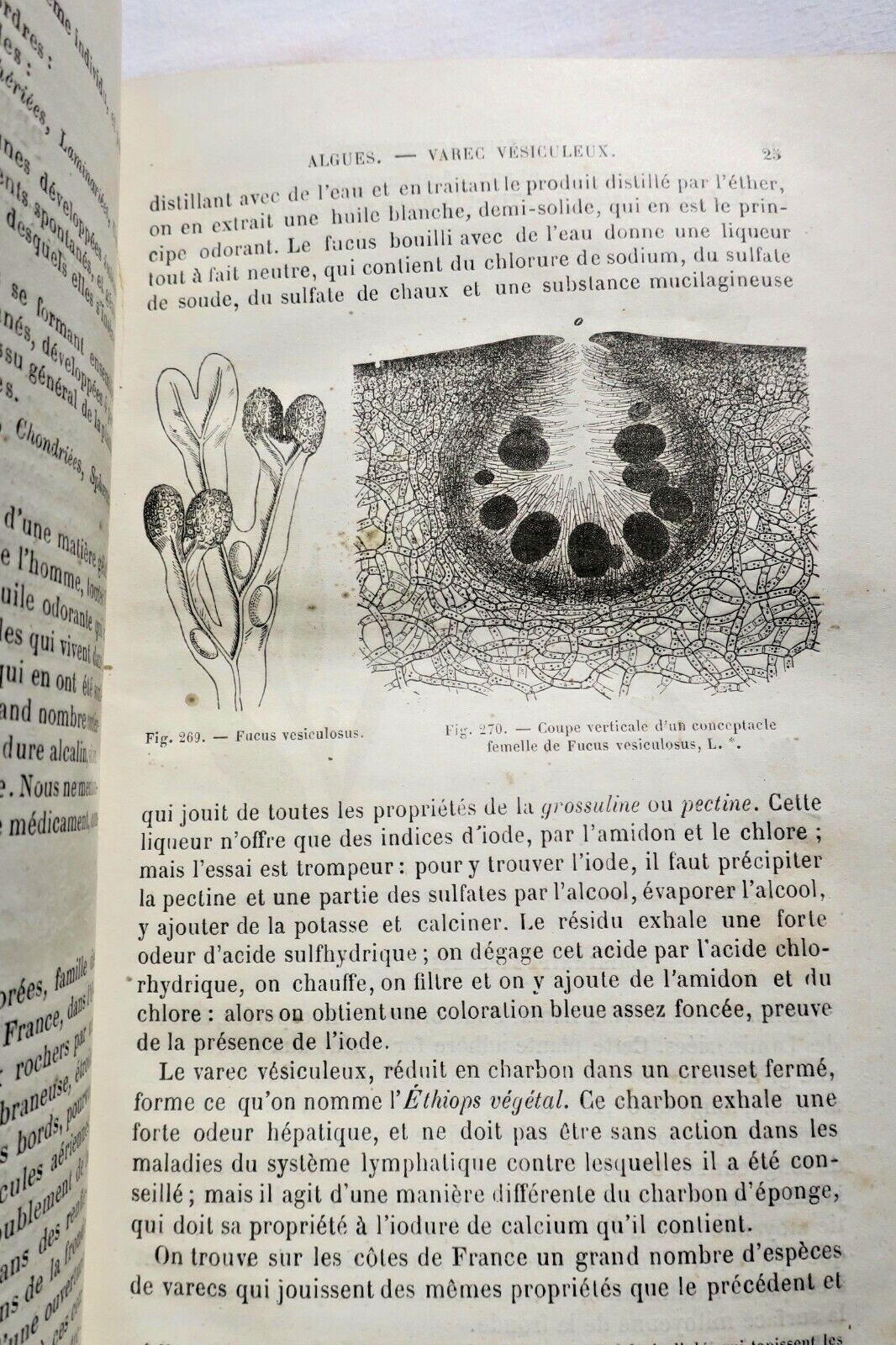 Drogues Histoire naturelle des drogues simples 1876 – Image 3
