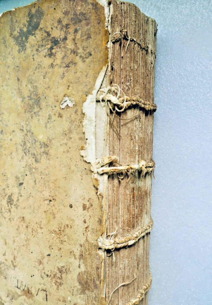 Droit Covarrvvias A Leyva Toletani Episcopi Segobiensis Philippi II 1610