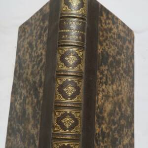 DROZ Monsieur Madame Bébé 1876