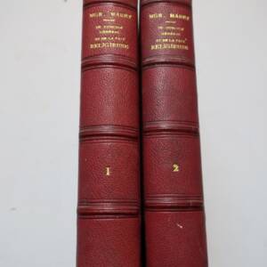 Du Concile Général et de la Paix Religieuse. Première partie: La Constituti..